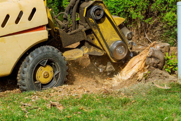 Mulching Services in Diaz, AR